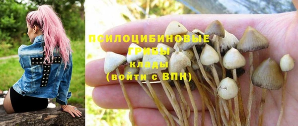 каннабис Карпинск