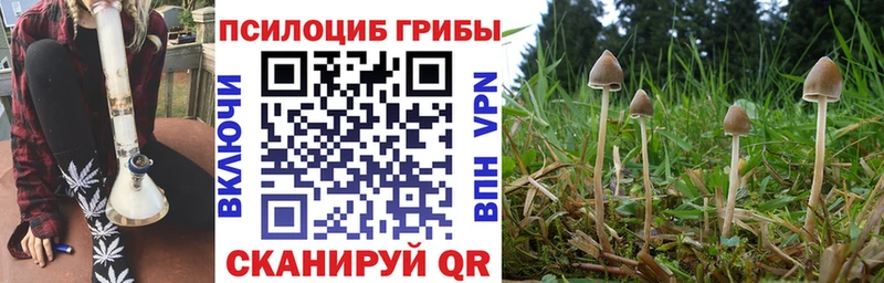 Псилоцибиновые грибы прущие грибы  Купить  Катайск 